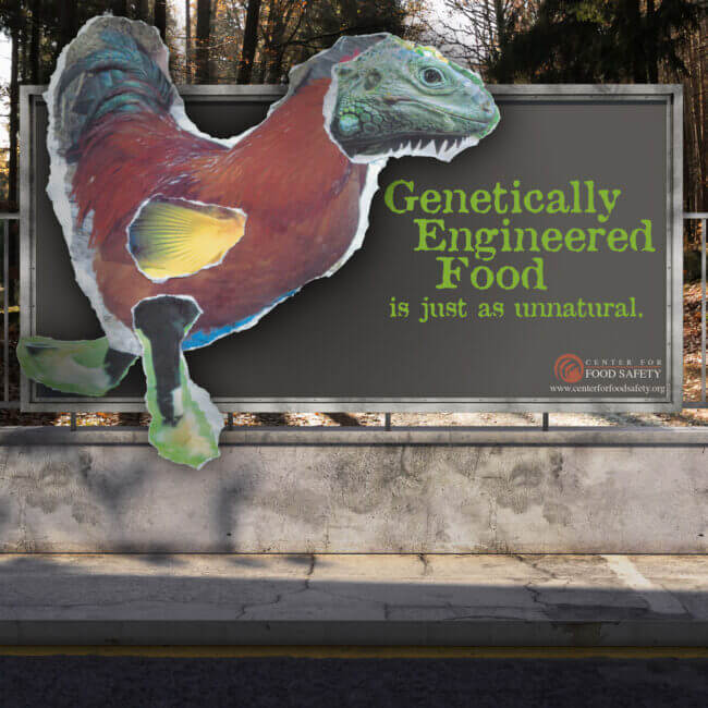 GMO billboard on a fence